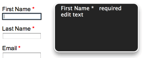 Label reads: First Name *, VO output speaks: First Name * required edit text